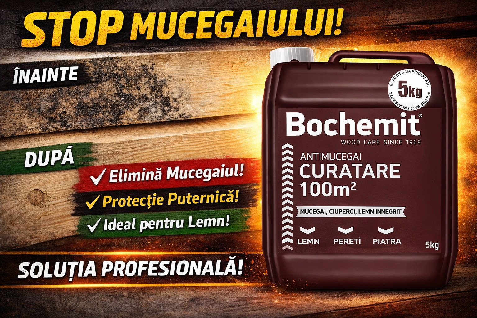 mucegai in casa